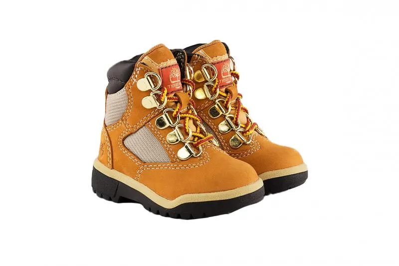 Timberland TD 6" Field Boot Snow Ready Frost resistant