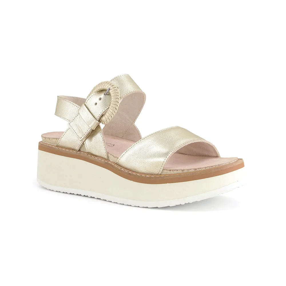 Simple Choice Shock-absorbent flexibility Crepe (124100)