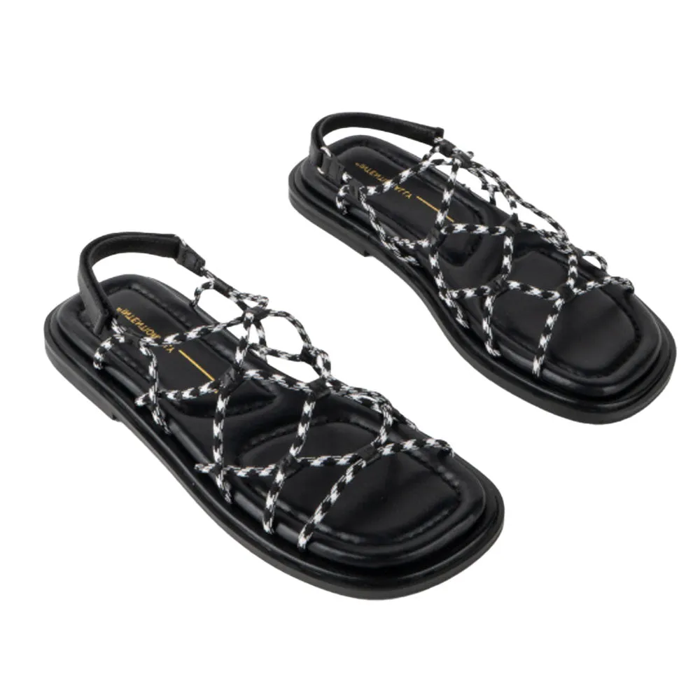 Lychee Fashion Comfort Lifestyle Trend