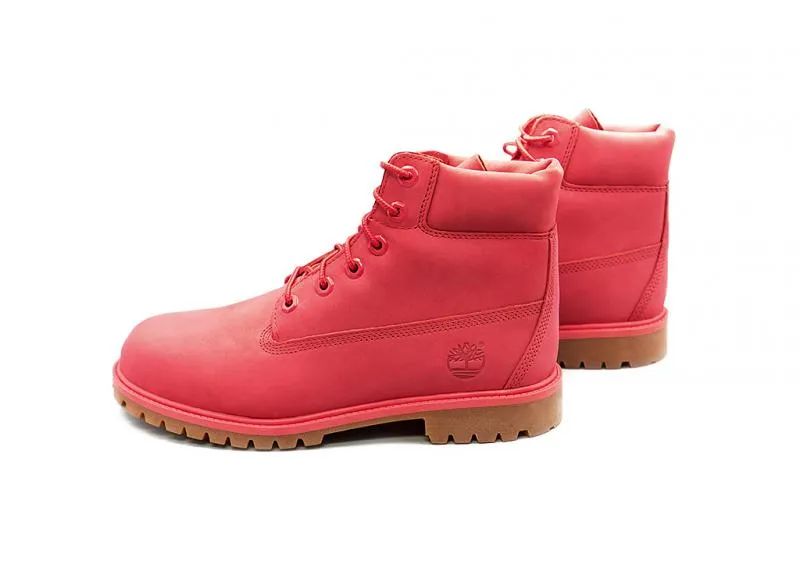 Northern Resident Timberland 6" Premium WP Boot